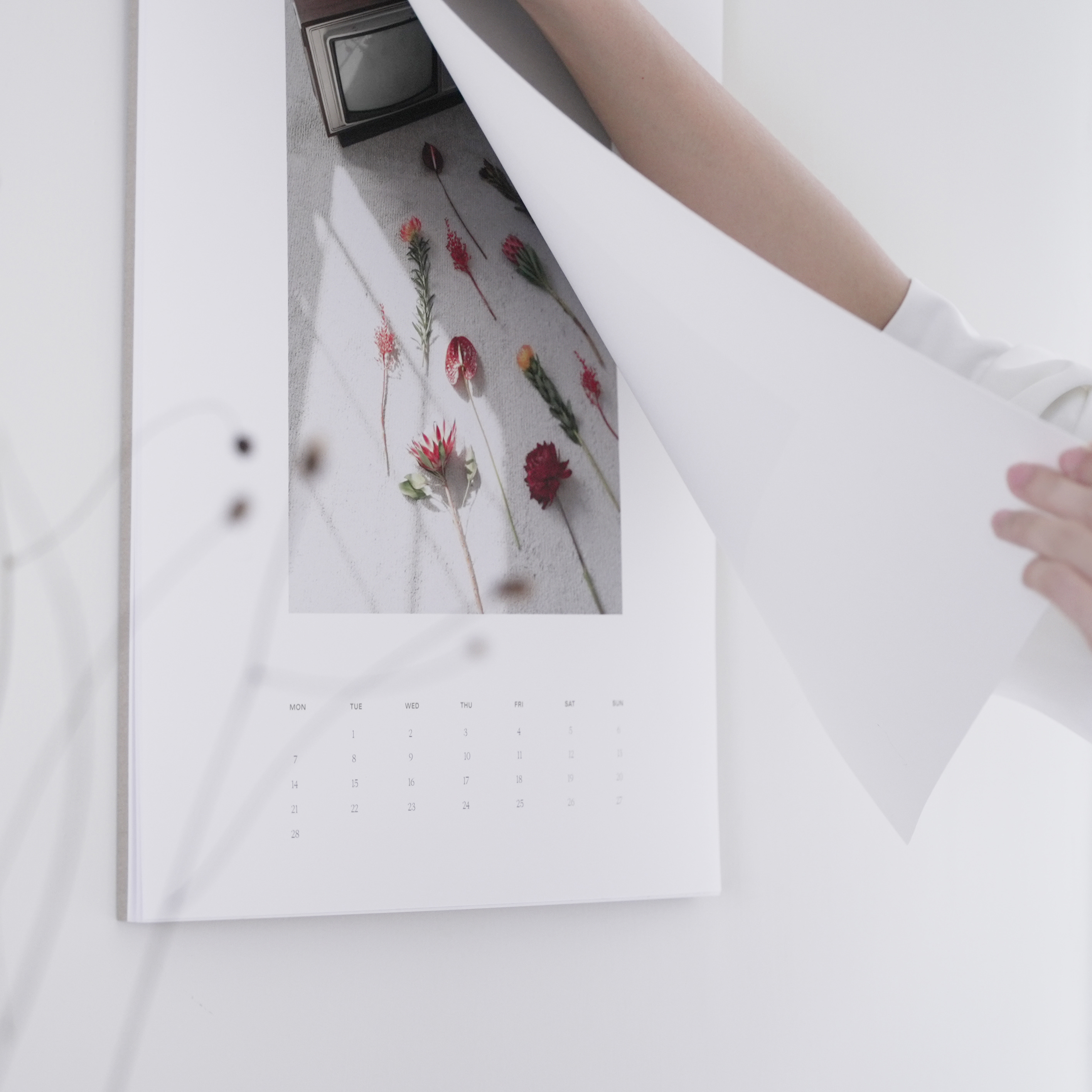  《After 2021》植物攝影月曆｜Calendar 2022